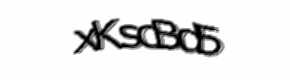Security check image, please type the characters shown